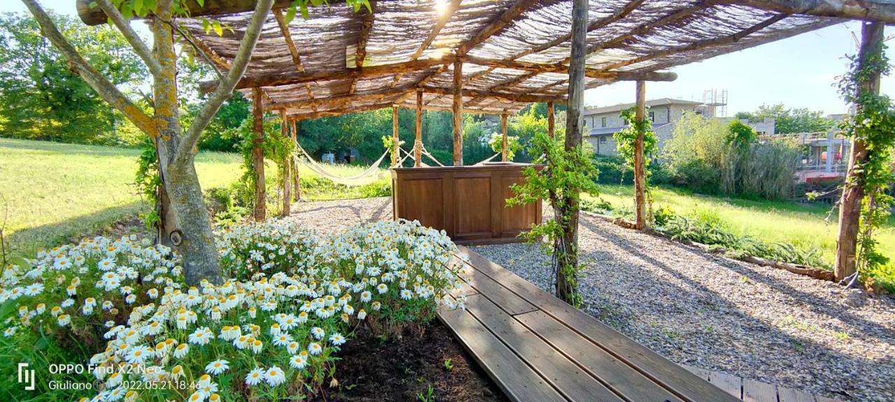Il Casello Country House Greve in Chianti Ngoại thất bức ảnh